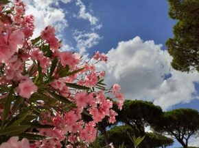 Romea Family Camping Casalborsetti